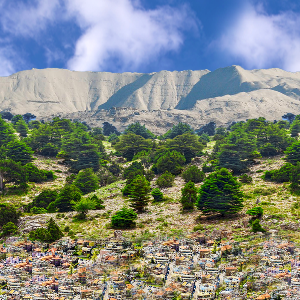 Nespresso Compatible Levantine Coffee